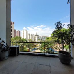 https://img.olx.com.br/thumbs256x256/66/669652183620742.jpg