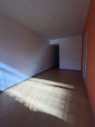 https://img.olx.com.br/thumbs256x256/67/670538402823439.jpg