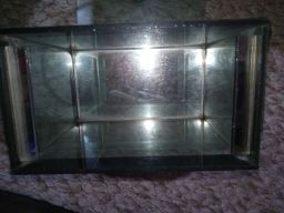 https://img.olx.com.br/thumbs256x256/67/671640182824477.jpg