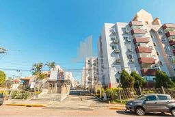 https://img.olx.com.br/thumbs256x256/67/672559405373698.jpg