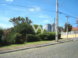 https://img.olx.com.br/thumbs256x256/67/673506408934661.jpg