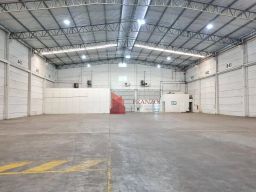 https://img.olx.com.br/thumbs256x256/67/673528762149984.jpg
