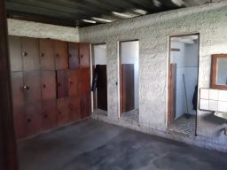 https://img.olx.com.br/thumbs256x256/67/673593769414916.jpg