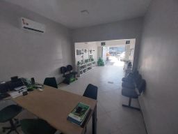 https://img.olx.com.br/thumbs256x256/67/674502040258031.jpg