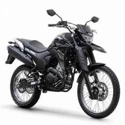 https://img.olx.com.br/thumbs256x256/67/674529639448540.jpg