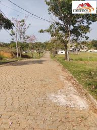 https://img.olx.com.br/thumbs256x256/67/674564399801159.jpg
