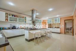 https://img.olx.com.br/thumbs256x256/67/674564769662094.jpg