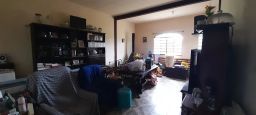 https://img.olx.com.br/thumbs256x256/67/674579884291675.jpg