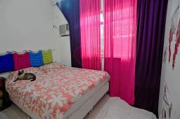 https://img.olx.com.br/thumbs256x256/67/674580408336100.jpg
