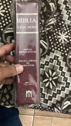 https://img.olx.com.br/thumbs256x256/67/675532287395508.jpg