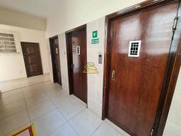 https://img.olx.com.br/thumbs256x256/67/675578160462480.jpg