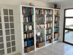 https://img.olx.com.br/thumbs256x256/67/676413352298812.jpg