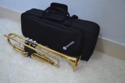 https://img.olx.com.br/thumbs256x256/67/676510277126645.jpg