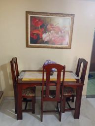 https://img.olx.com.br/thumbs256x256/67/676539142303143.jpg