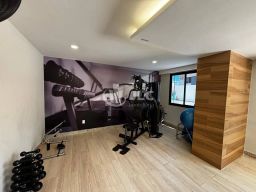 https://img.olx.com.br/thumbs256x256/67/676597287638941.jpg