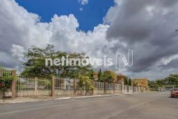 https://img.olx.com.br/thumbs256x256/67/677539163044258.jpg