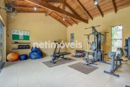 https://img.olx.com.br/thumbs256x256/67/677571767725169.jpg