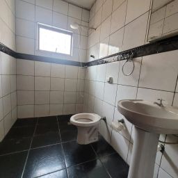 https://img.olx.com.br/thumbs256x256/67/677592886513734.jpg