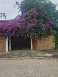 https://img.olx.com.br/thumbs256x256/67/677608440212279.jpg