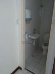 https://img.olx.com.br/thumbs256x256/67/678516153229296.jpg
