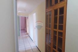 https://img.olx.com.br/thumbs256x256/67/678577281645534.jpg
