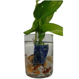 https://img.olx.com.br/thumbs256x256/67/678644421764117.jpg