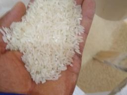 Título do anúncio: Fazenda próximo Porto velho com máquina de arroz