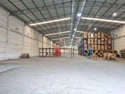 https://img.olx.com.br/thumbs256x256/67/679570526069274.jpg