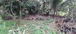 https://img.olx.com.br/thumbs256x256/67/679588402203475.jpg