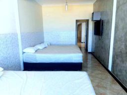 https://img.olx.com.br/thumbs256x256/67/679592500300329.jpg