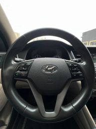 https://img.olx.com.br/thumbs256x256/67/679611934373446.jpg