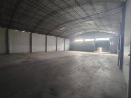 https://img.olx.com.br/thumbs256x256/67/679695077182775.jpg