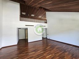 https://img.olx.com.br/thumbs256x256/68/680528049853921.jpg