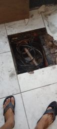 https://img.olx.com.br/thumbs256x256/68/680542865583888.jpg