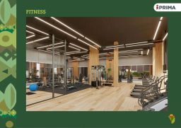 https://img.olx.com.br/thumbs256x256/68/680567634911374.jpg
