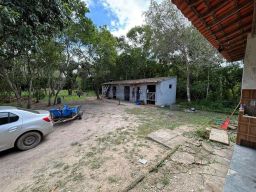 https://img.olx.com.br/thumbs256x256/68/681505886901745.jpg