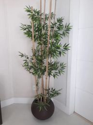 https://img.olx.com.br/thumbs256x256/68/681509126354249.jpg