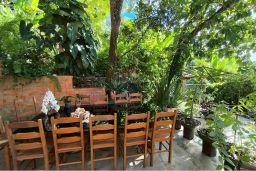 https://img.olx.com.br/thumbs256x256/68/681509389451570.jpg