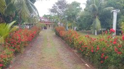 https://img.olx.com.br/thumbs256x256/68/681509394314095.jpg