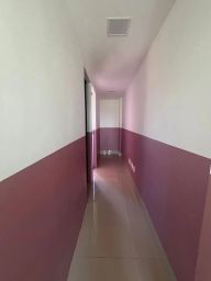 https://img.olx.com.br/thumbs256x256/68/681553528142820.jpg