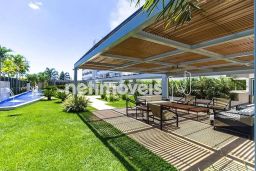 https://img.olx.com.br/thumbs256x256/68/681558400039620.jpg