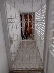 https://img.olx.com.br/thumbs256x256/68/681571049503596.jpg