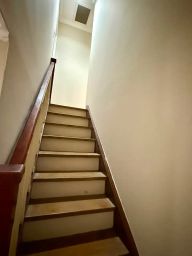https://img.olx.com.br/thumbs256x256/68/681627425319720.jpg