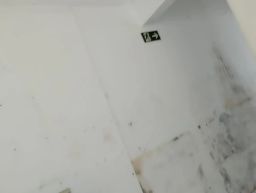 https://img.olx.com.br/thumbs256x256/68/681687297751645.jpg