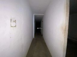 https://img.olx.com.br/thumbs256x256/68/682577281012055.jpg
