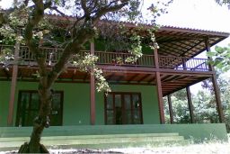 https://img.olx.com.br/thumbs256x256/68/683511615939206.jpg
