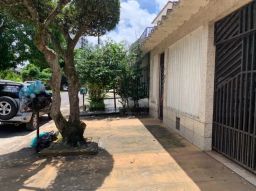 https://img.olx.com.br/thumbs256x256/68/683521283445180.jpg