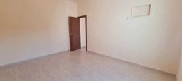 https://img.olx.com.br/thumbs256x256/68/683526399693399.jpg