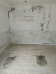 https://img.olx.com.br/thumbs256x256/68/683642056252516.jpg