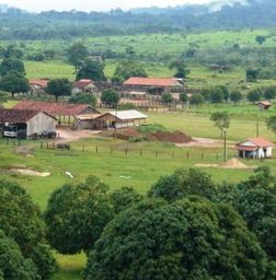 Rondolândia Mato Grosso fonte: img.olx.com.br